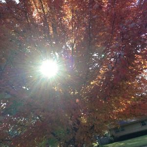 Meet your Posher, Kaitlin